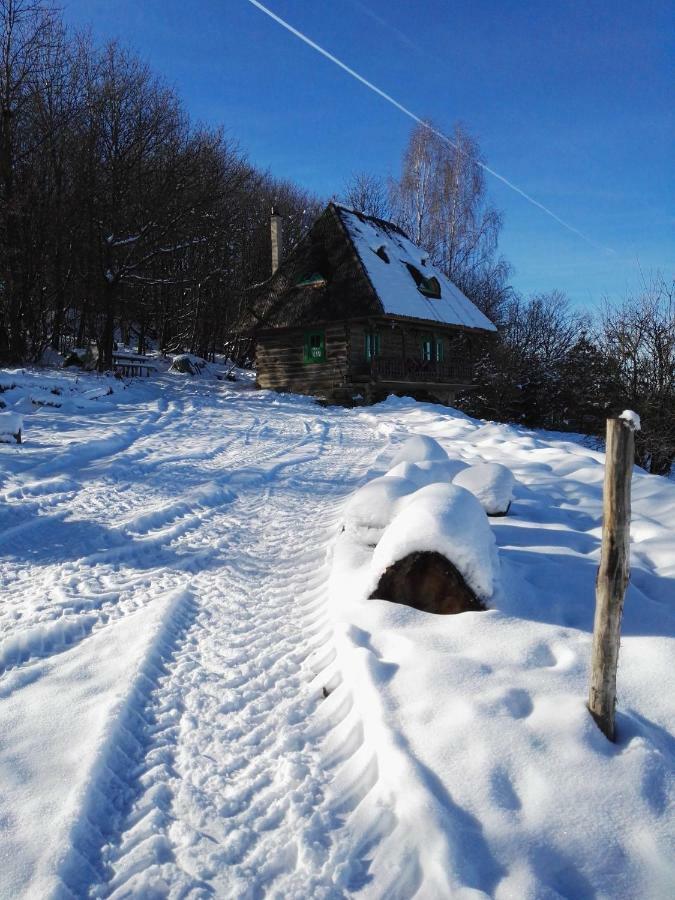 Гостьовий будинок Casa Glod Glod  Екстер'єр фото