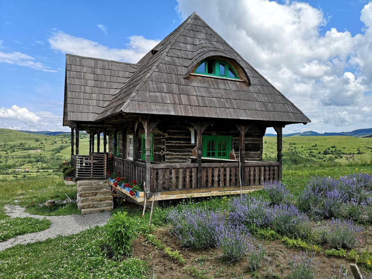 Гостьовий будинок Casa Glod Glod  Екстер'єр фото