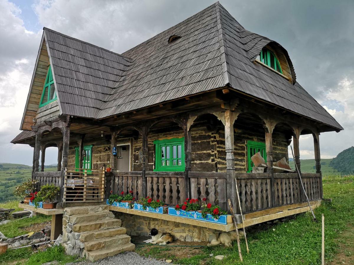 Гостьовий будинок Casa Glod Glod  Екстер'єр фото