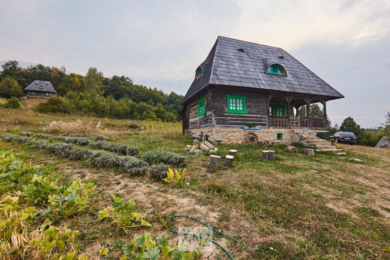 Гостьовий будинок Casa Glod Glod  Екстер'єр фото